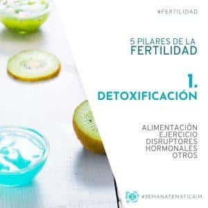 1. Detoxificación