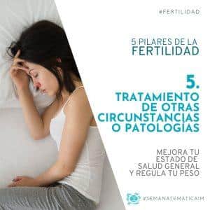 Los 5 pilares de la fertilidad